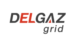 Delgaz Grid