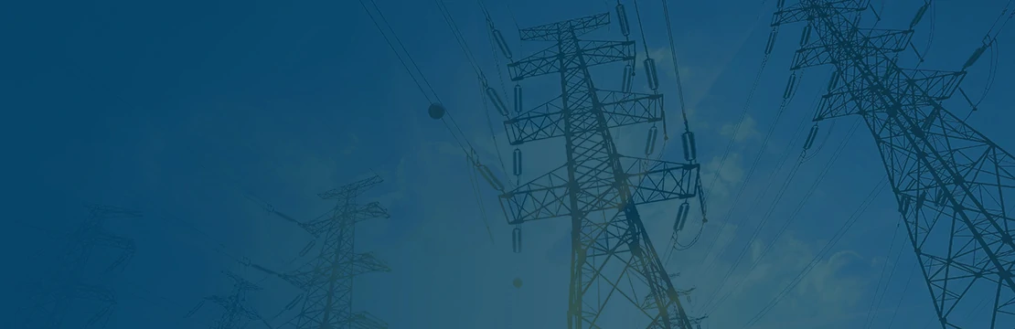 Echipa ENERGEX la lucru
